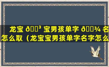 龙宝 🌳 宝男孩单字 🌾 名字怎么取（龙宝宝男孩单字名字怎么取好听）